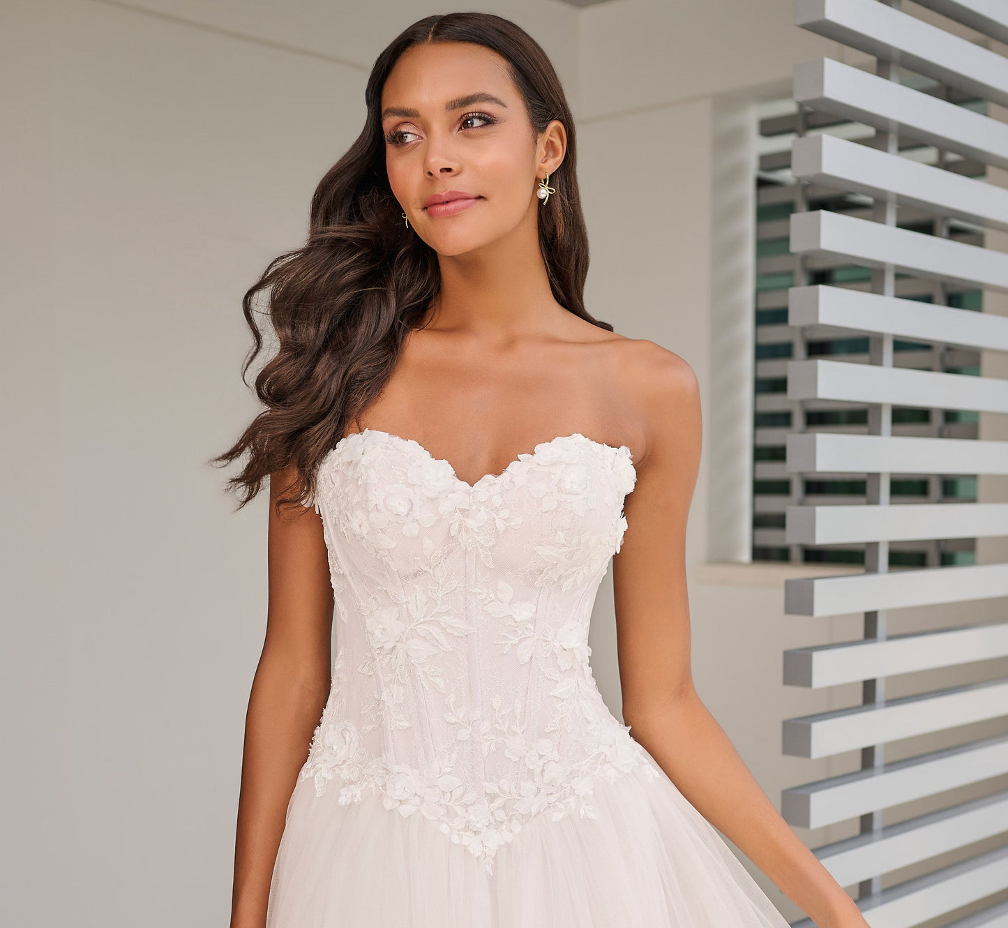 All Over Lace Ball Gown in Ivory French Lilac