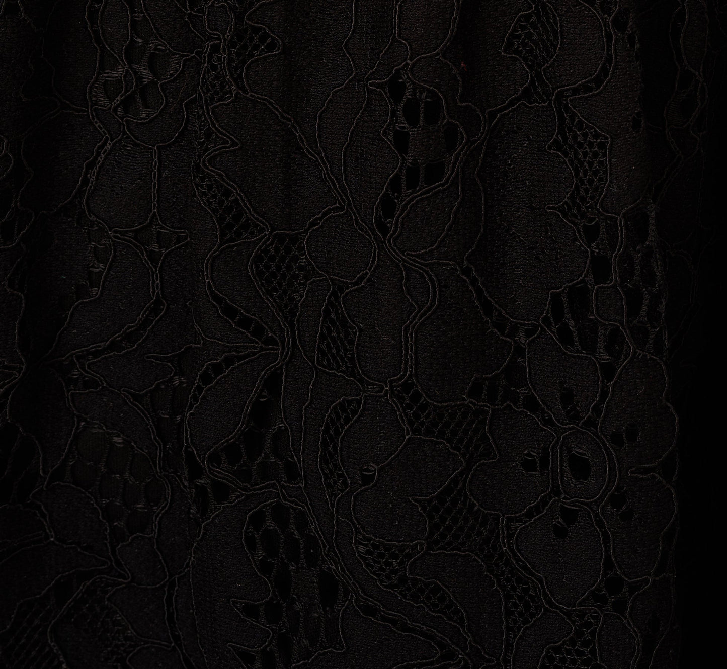 Sleeveless Collared Lace Fit And Flare Dress In Black