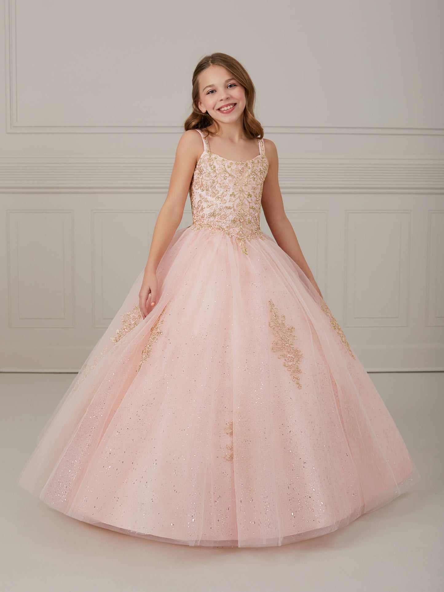 Metallic Lace and Tulle Scoop Neck A-Line Gown