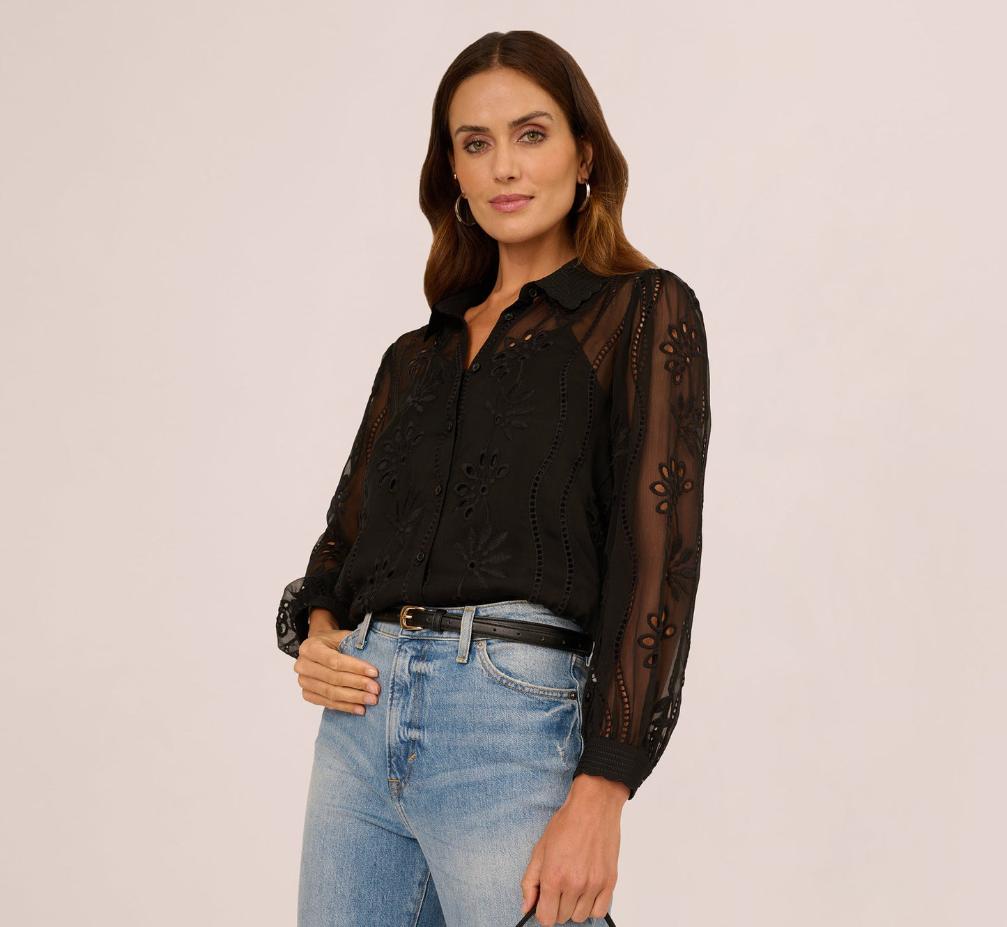 Long Sleeve Sheer Floral Eyelet Lace Blouse In Black