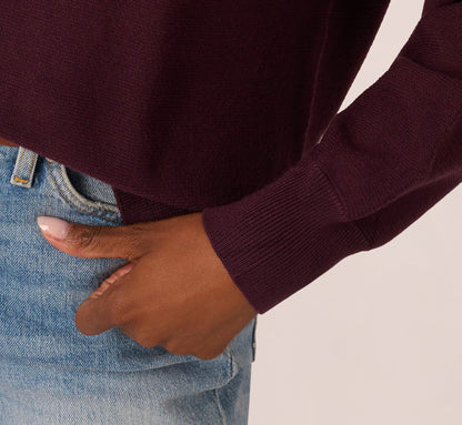 Long Sleeve Laced Raglan Sweater In Plum