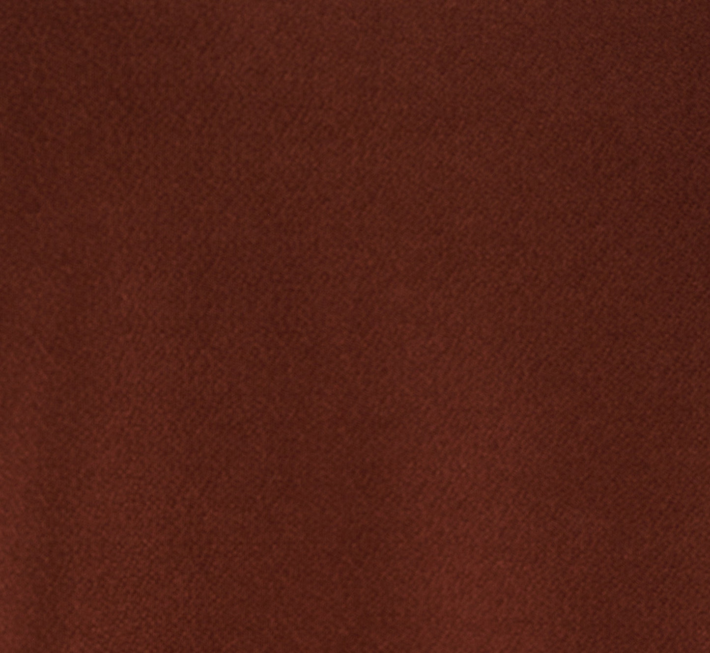 Flutter Sleeve Contrast Tipped Top In Shaved Chocolate Ecru