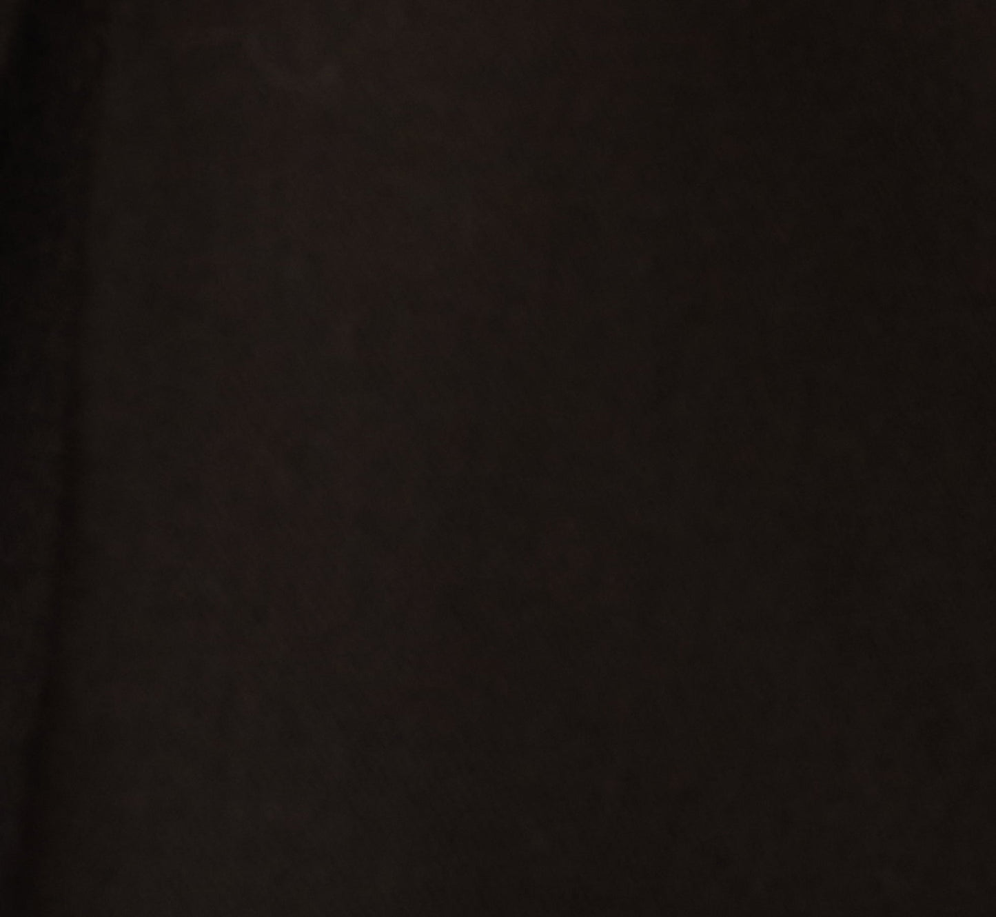 Wide Leg Pleated Trouser In Black