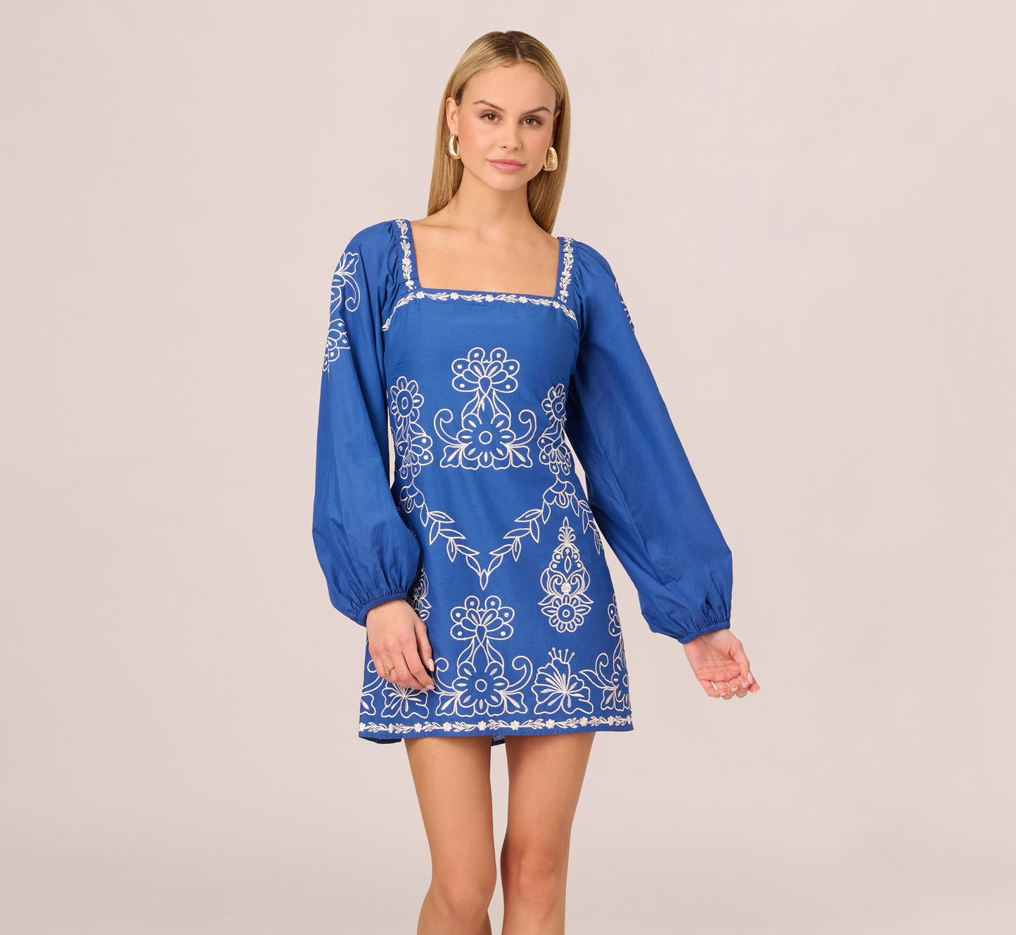 Long Sleeve Embroidered Cotton Mini Dress In Blue White