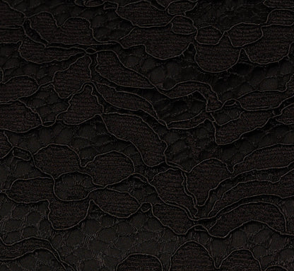 Roll Neck Lace Dress With Sheer Elbow Sleeves In Black