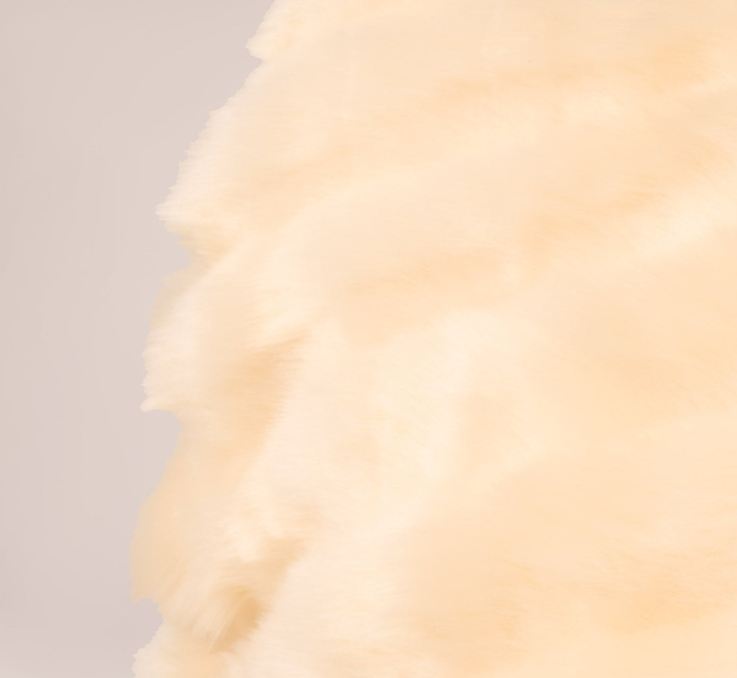 Faux Fur Wrap With Stone Brooch In Champagne